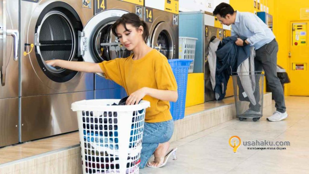 franchise laundry koin