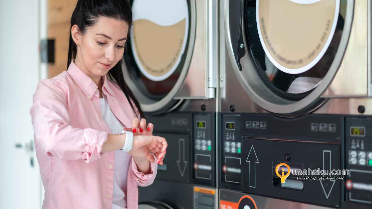 franchise laundry koin