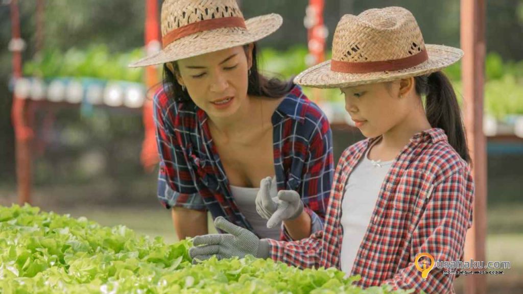 Agrotourism Berbasis Pertanian Organik di Minahasa