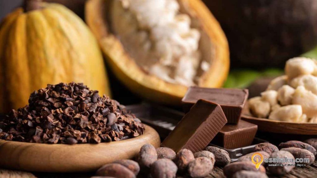 Kakao: Olahan Cokelat yang Menjanjikan