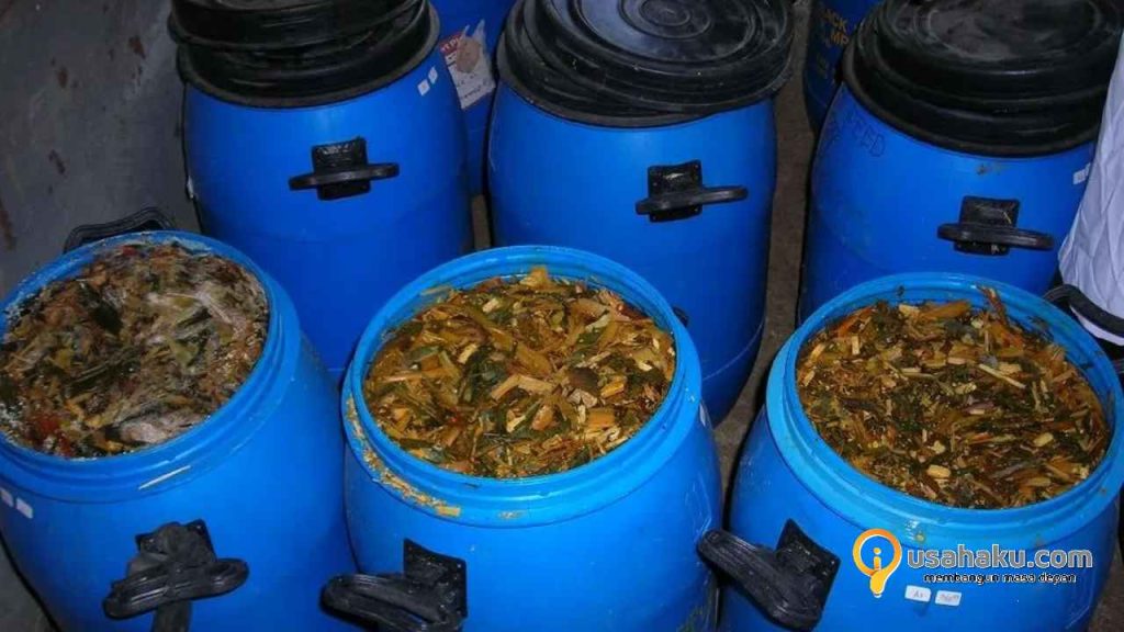 Usaha Ternak Kambing Pakan Fermentasi Nutrisi Optimal Hasil